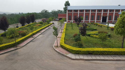 EPS線條產(chǎn)品是什么？